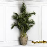 سه بعدی درخت - تری دی درخت - درخت 3d - گل خانگی